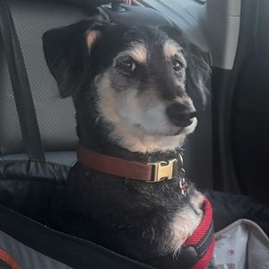 Meet your Posher, Mack
